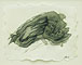 Fossils 2